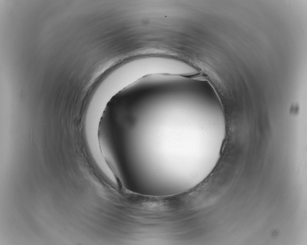 X0000093140160200710241349