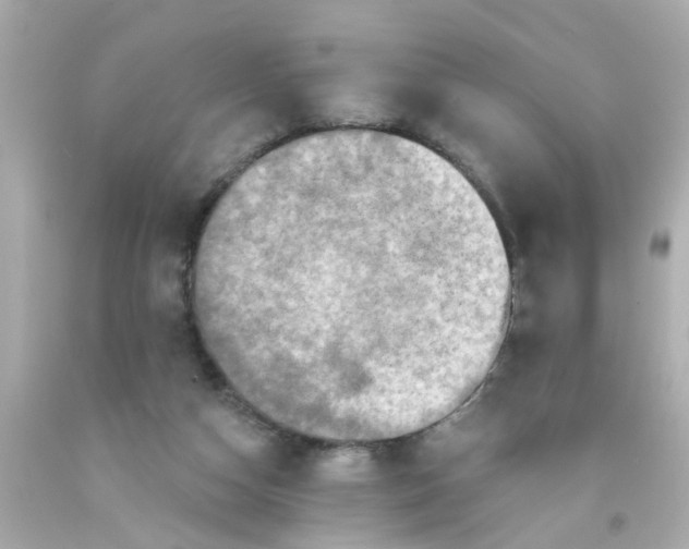 X0000093140162200710241349