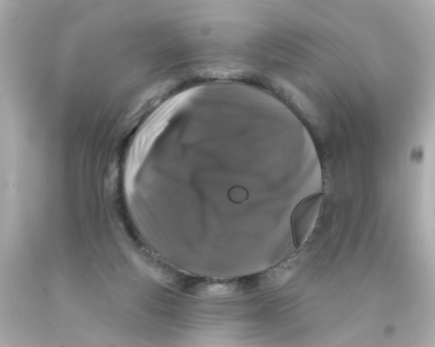 X0000093140163200710241349