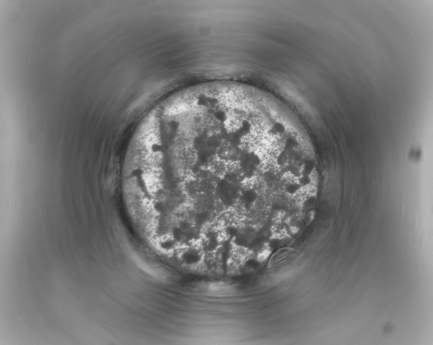 X0000093140165200710241349