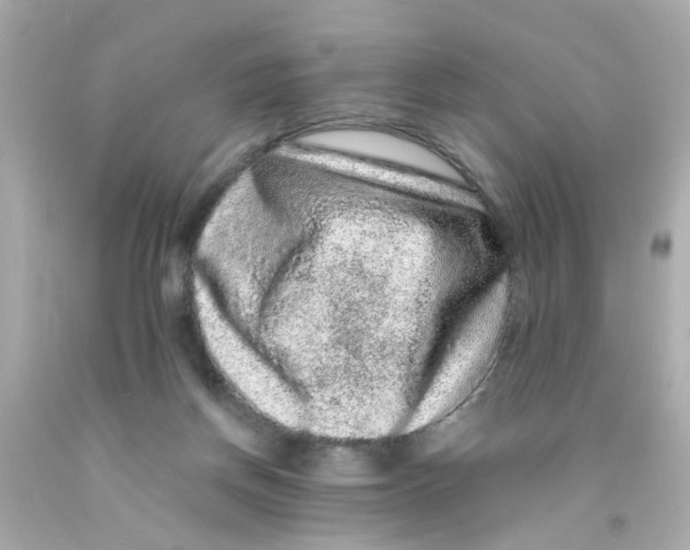 X0000093140166200710241349