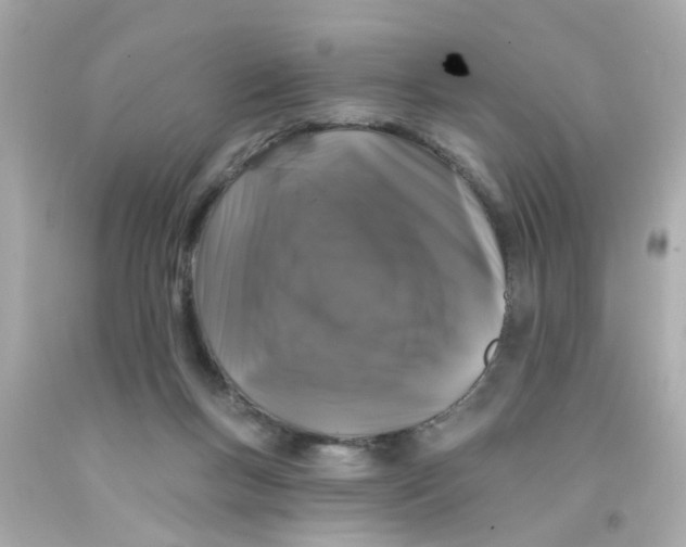 X0000093140167200710241349