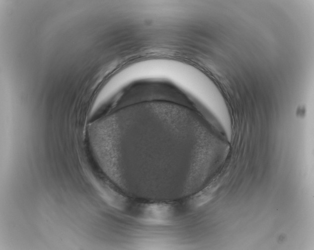 X0000093140168200710241349