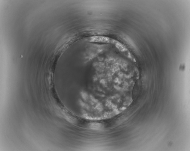 X0000093140169200710241349