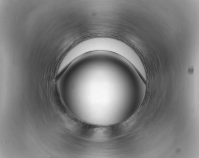 X0000093140172200710241349