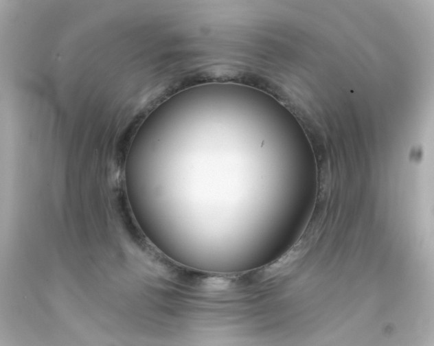 X0000093140176200710241349