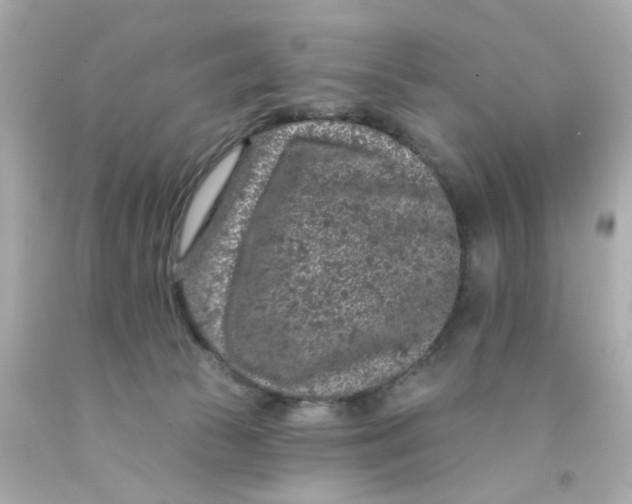 X0000093140177200710241349