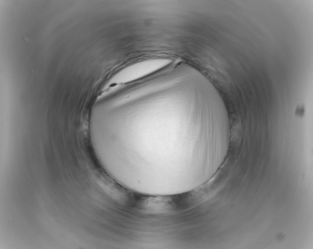 X0000093140179200710241349