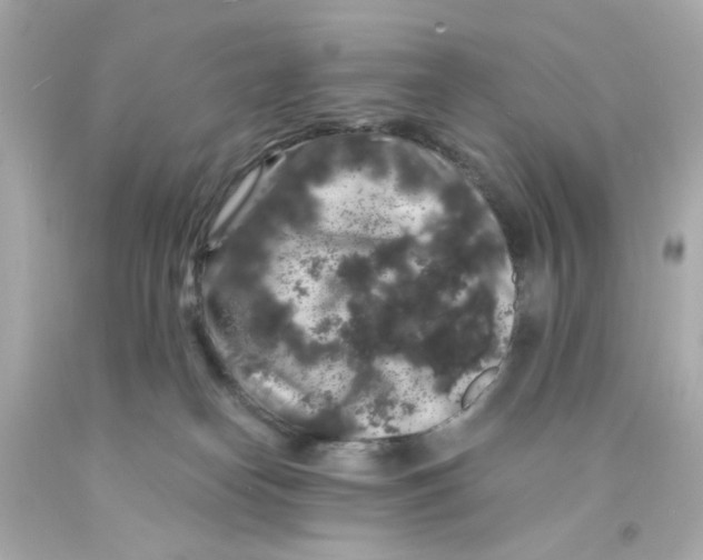 X0000093140182200710241349