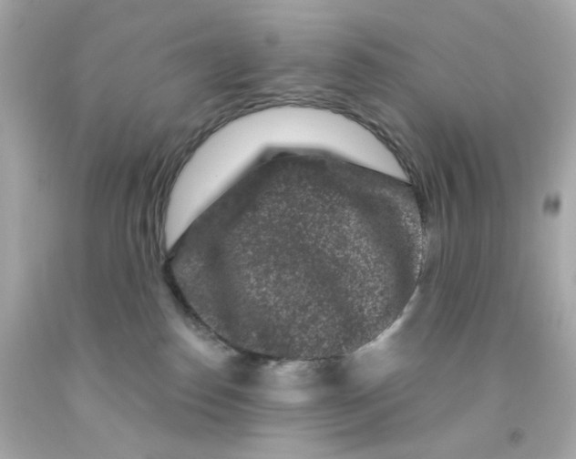 X0000093140186200710241350