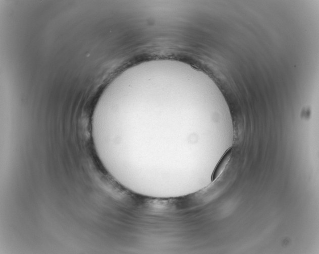 X0000093140187200710241350