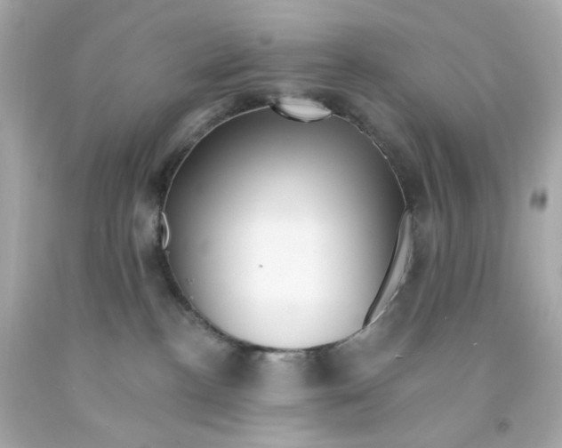 X0000093140188200710241350