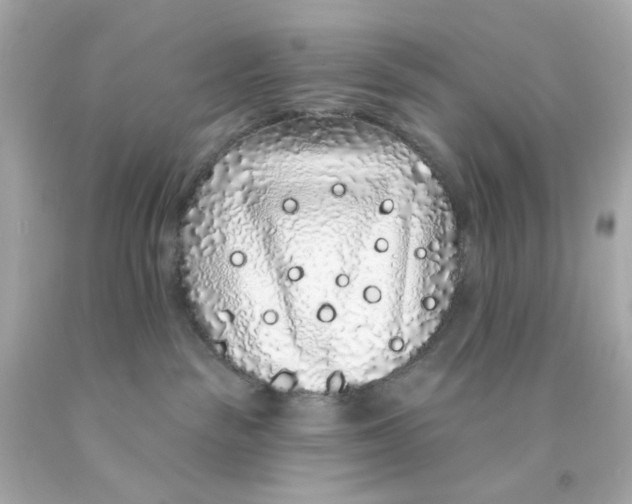 X0000093140189200710241350