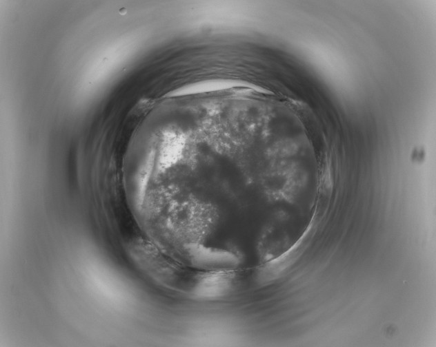 X0000093140191200710241350