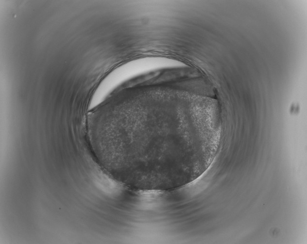 X0000093140192200710241350