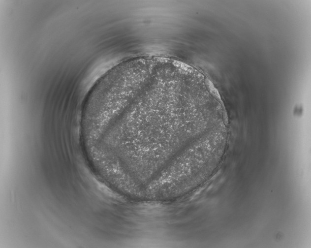 X0000093140194200710241349