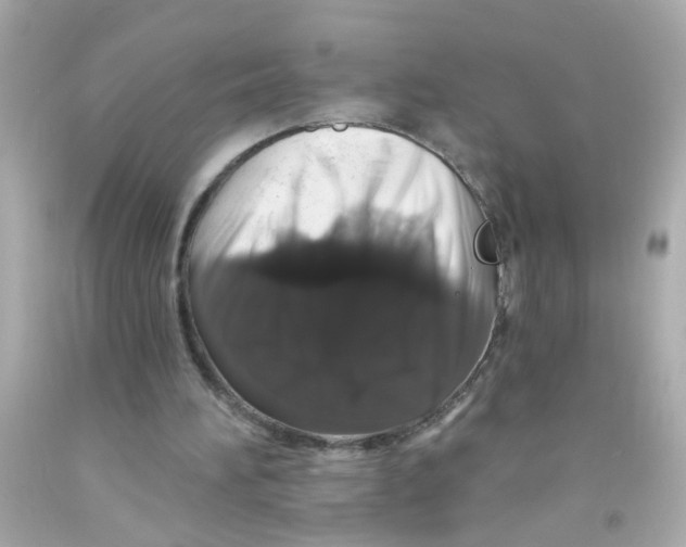 X0000093140196200710241349