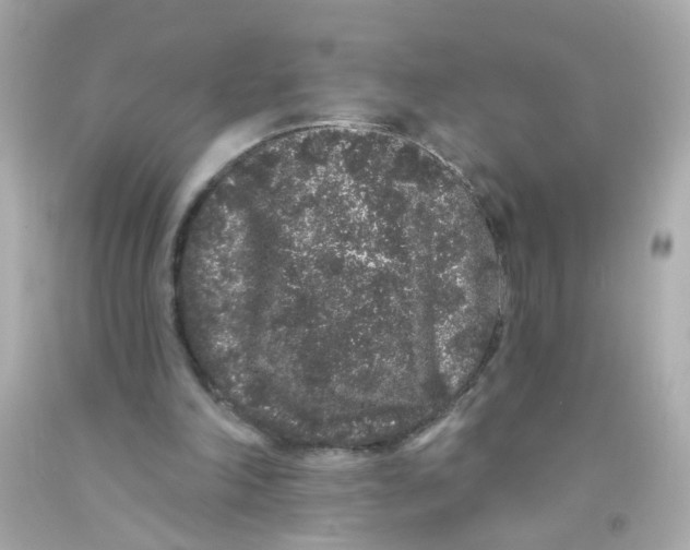 X0000093140198200710241349