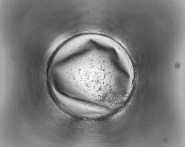 X0000093140199200710241349