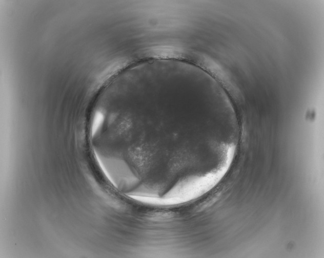 X0000093140202200710241349