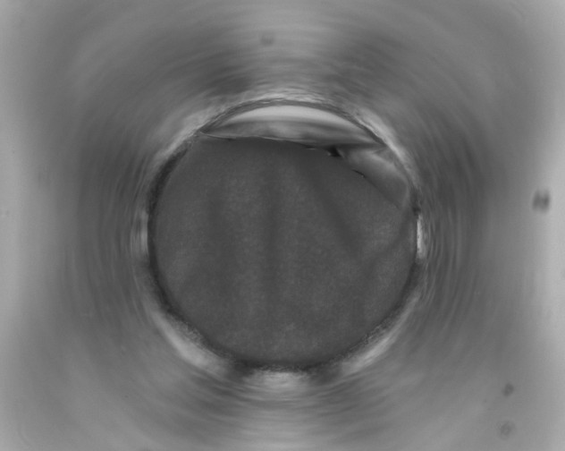 X0000093140205200710241349