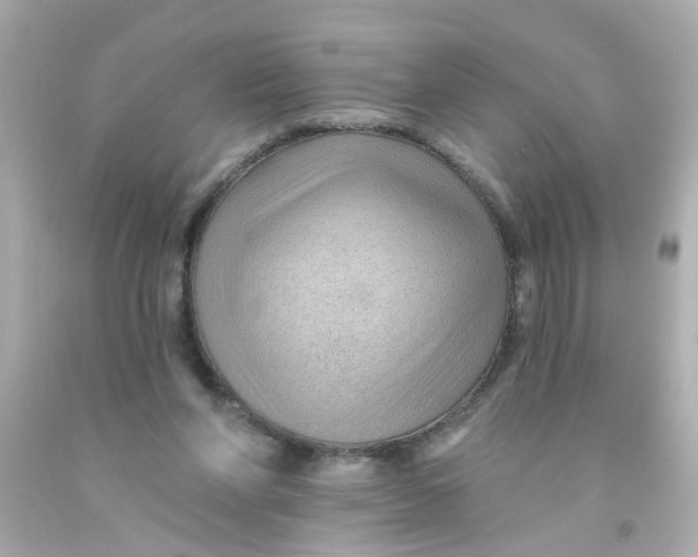 X0000093140206200710241349