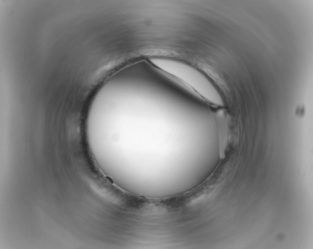 X0000093140207200710241349