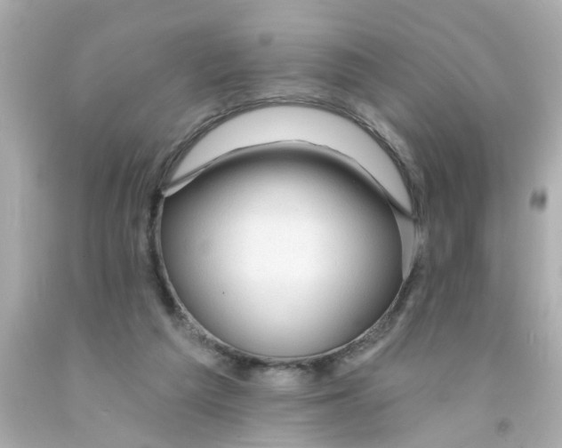 X0000093140209200710241349