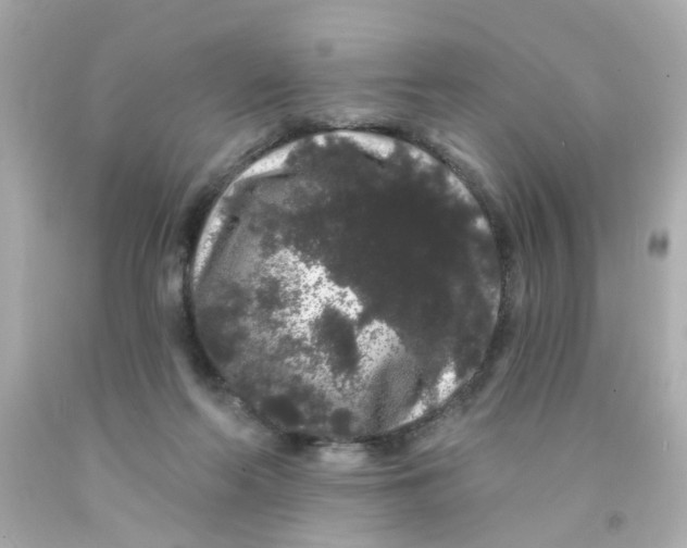 X0000093140214200710241349