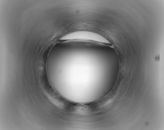 X0000093140215200710241349