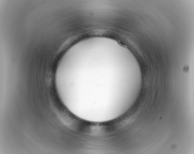 X0000093140216200710241349