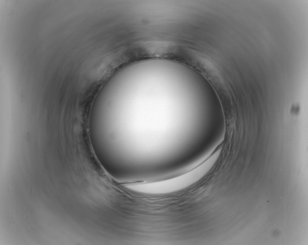 X0000093140221200710241349