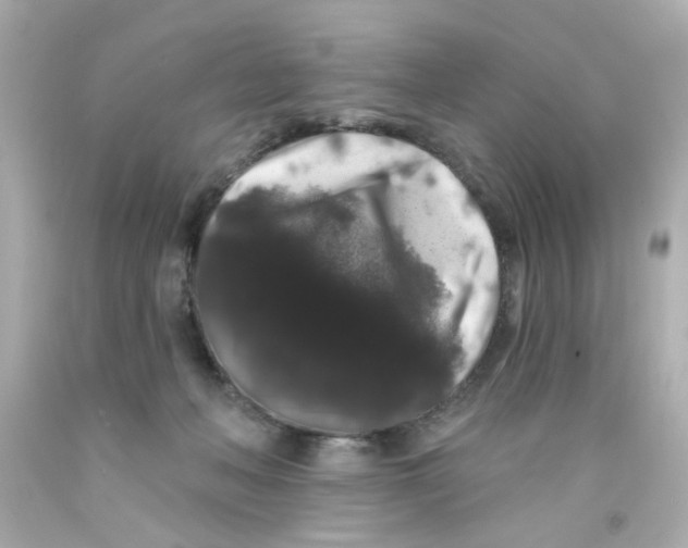 X0000093140222200710241349