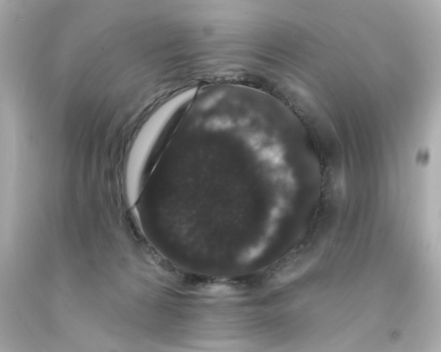 X0000093140224200710241349