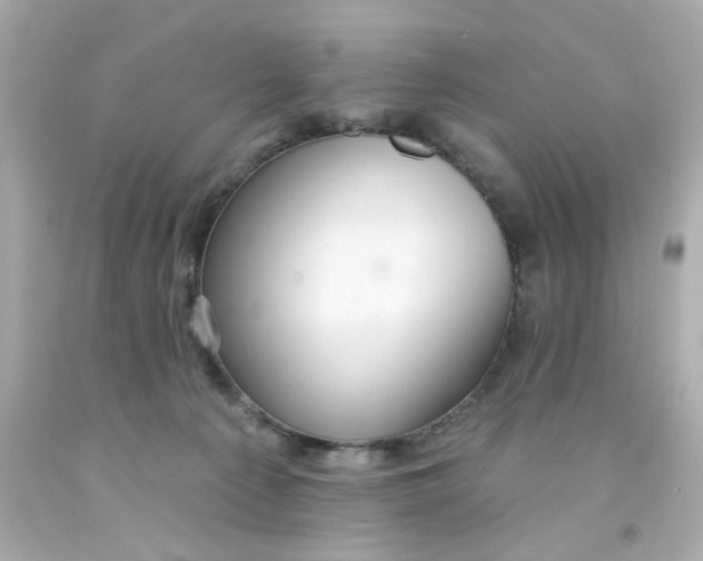 X0000093140225200710241349