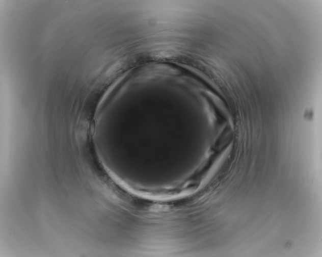 X0000093140227200710241349