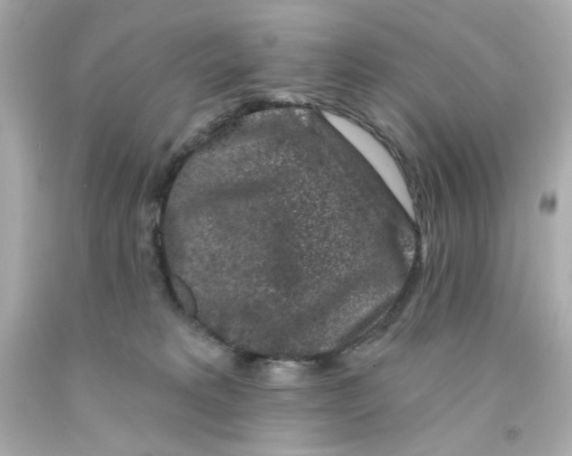 X0000093140229200710241349