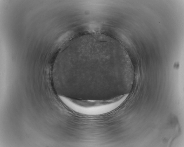 X0000093140233200710241348