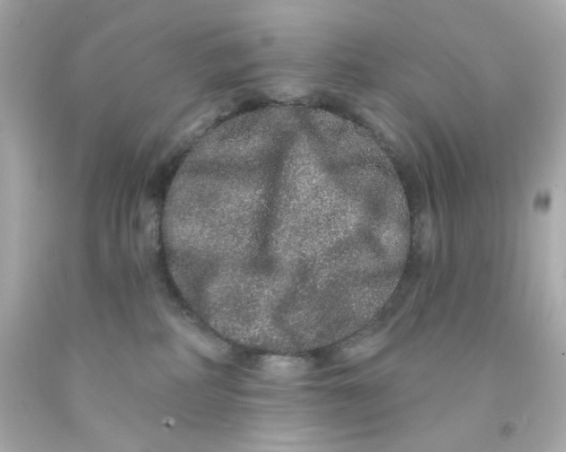 X0000093140234200710241348