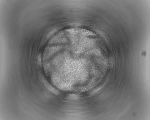 X0000093140238200710241348