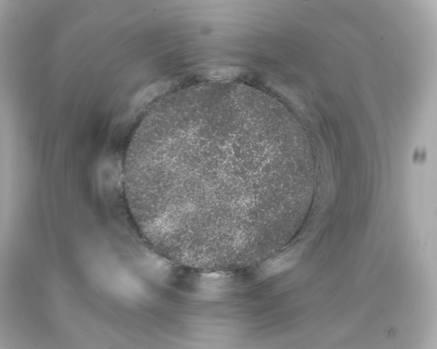 X0000093140240200710241348