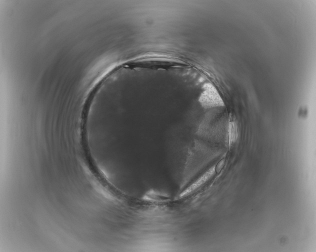 X0000093140243200710241348