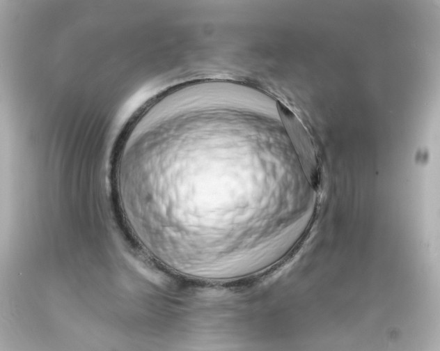 X0000093140246200710241348