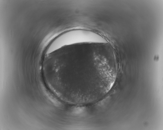 X0000093140247200710241348