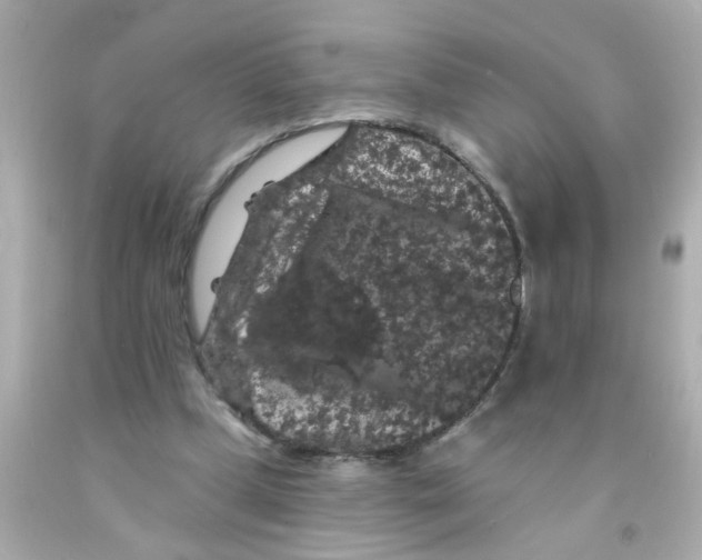 X0000093140249200710241348