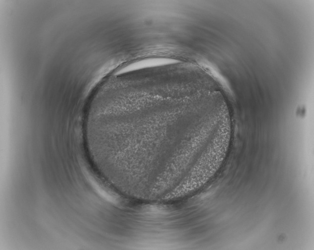 X0000093140250200710241348