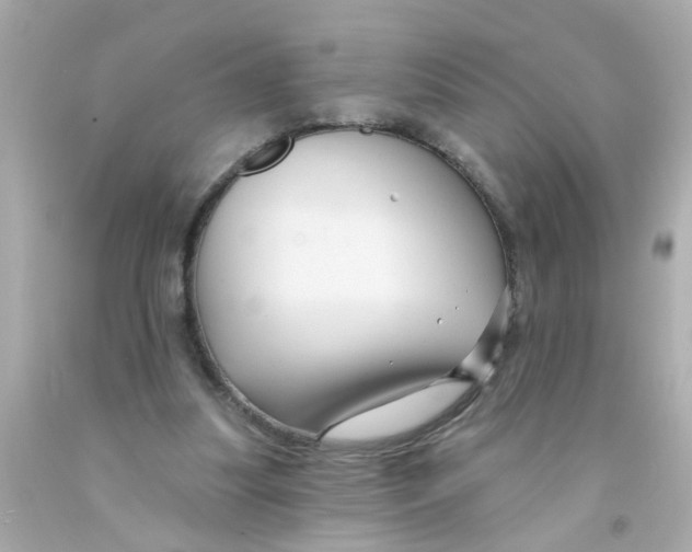 X0000093140251200710241348