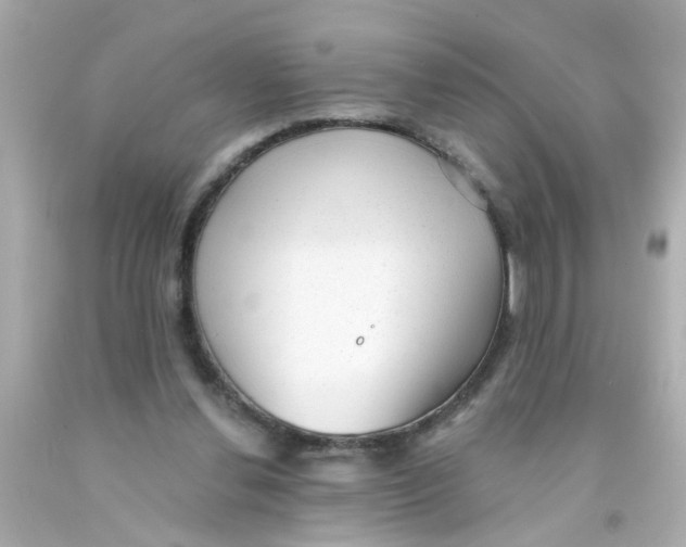 X0000093140252200710241348