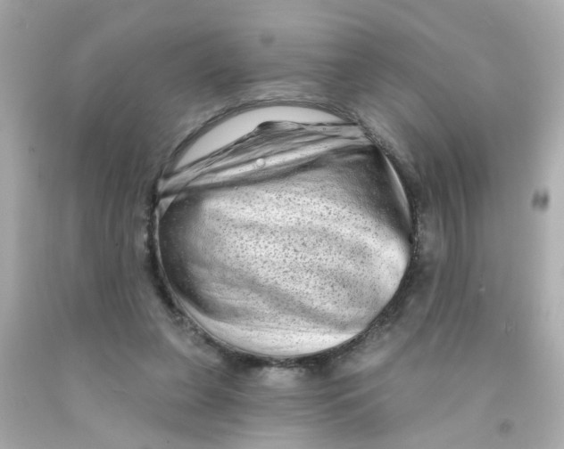 X0000093140255200710241348