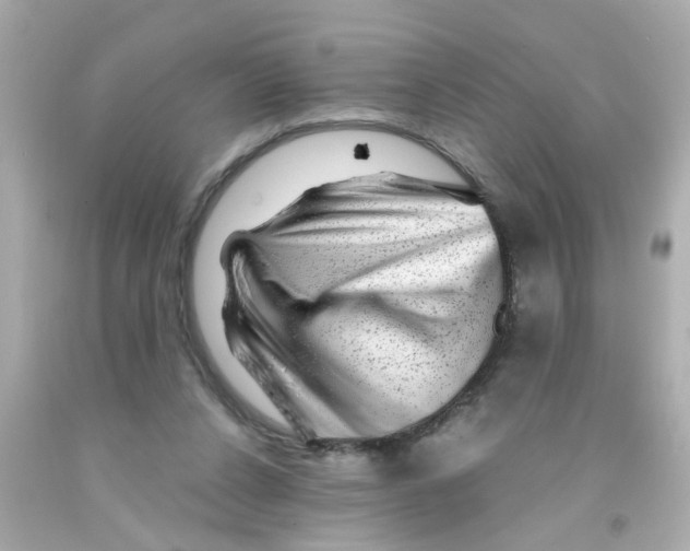 X0000093140256200710241348